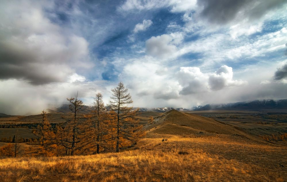 Photograph by Лора Павлова