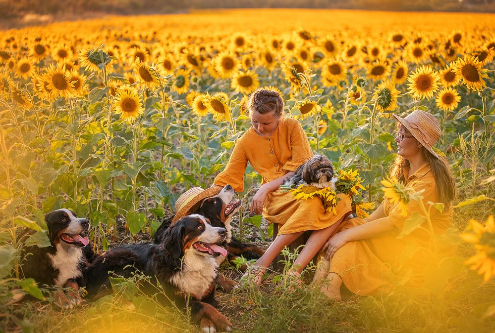 Photograph by Юлия Григорьева