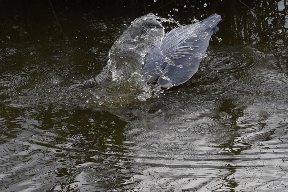 Фотография автора Sergej Roor