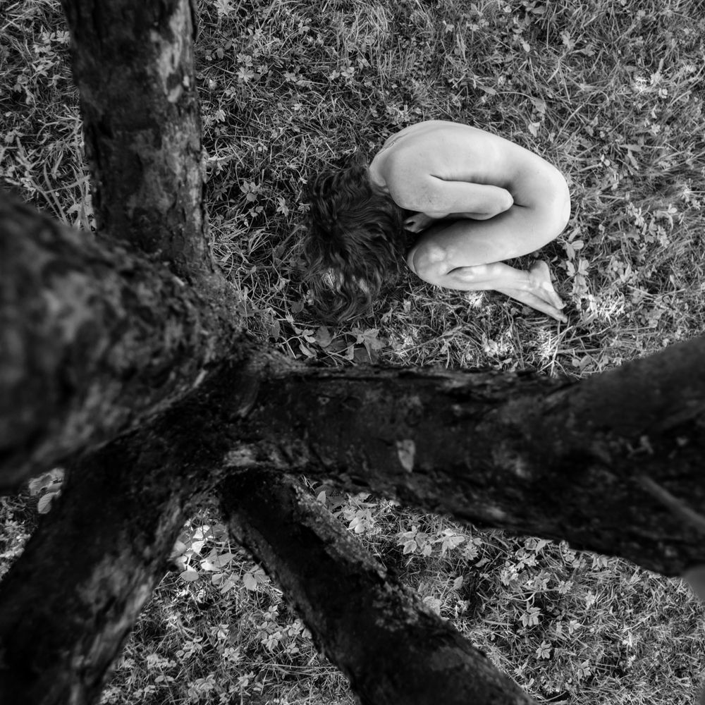 TREE OF LIFE