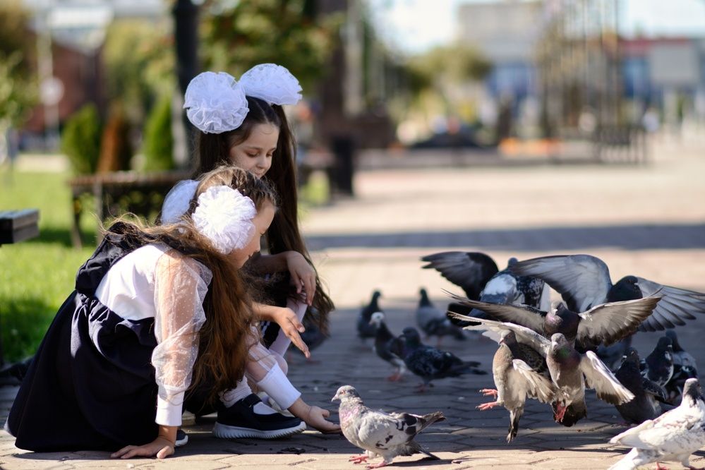 Photograph by Александра Криницына