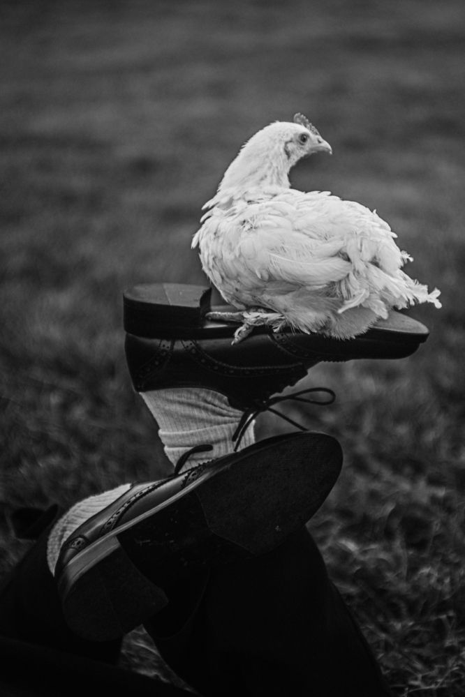 Фотография автора Щеглова Марина