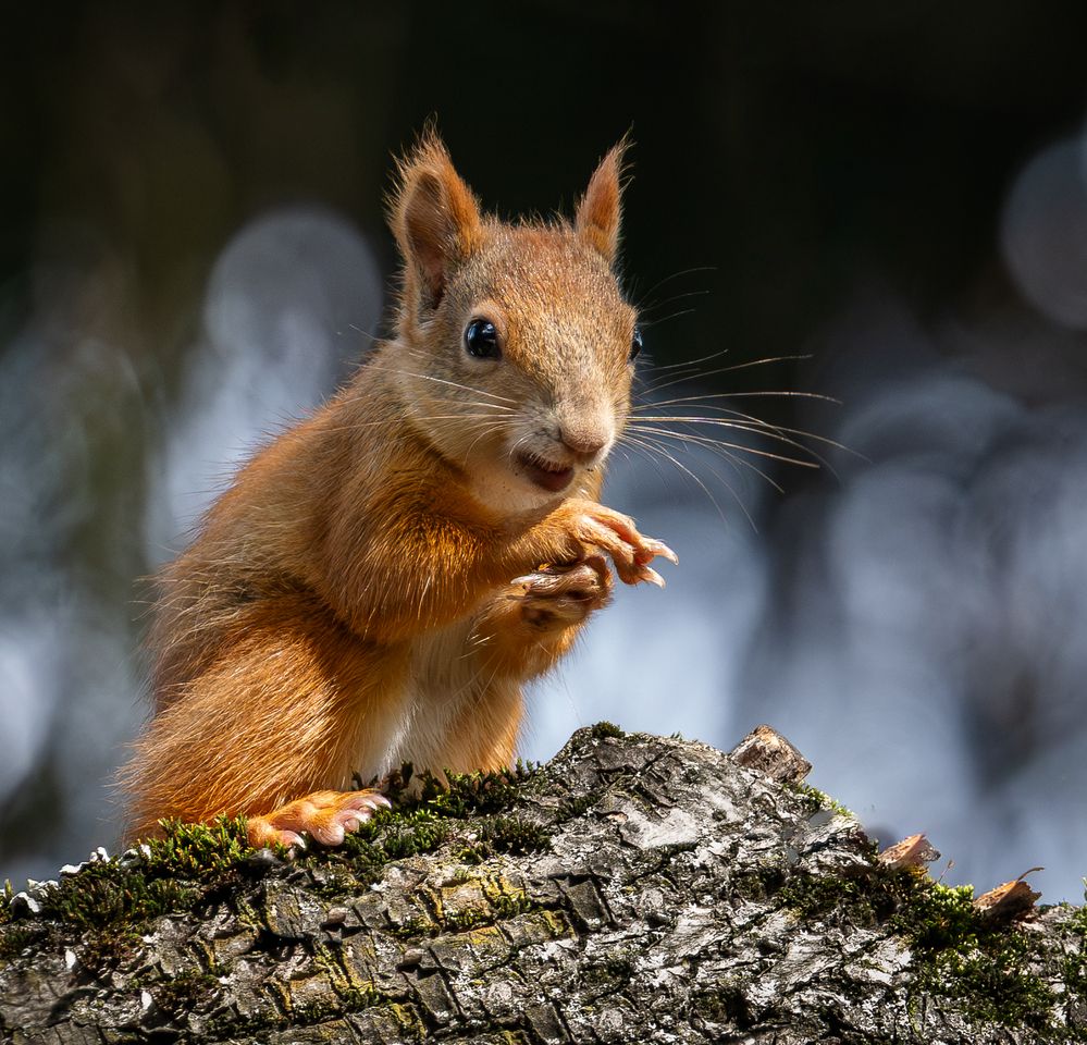 Photograph by Курлянцев Алексей