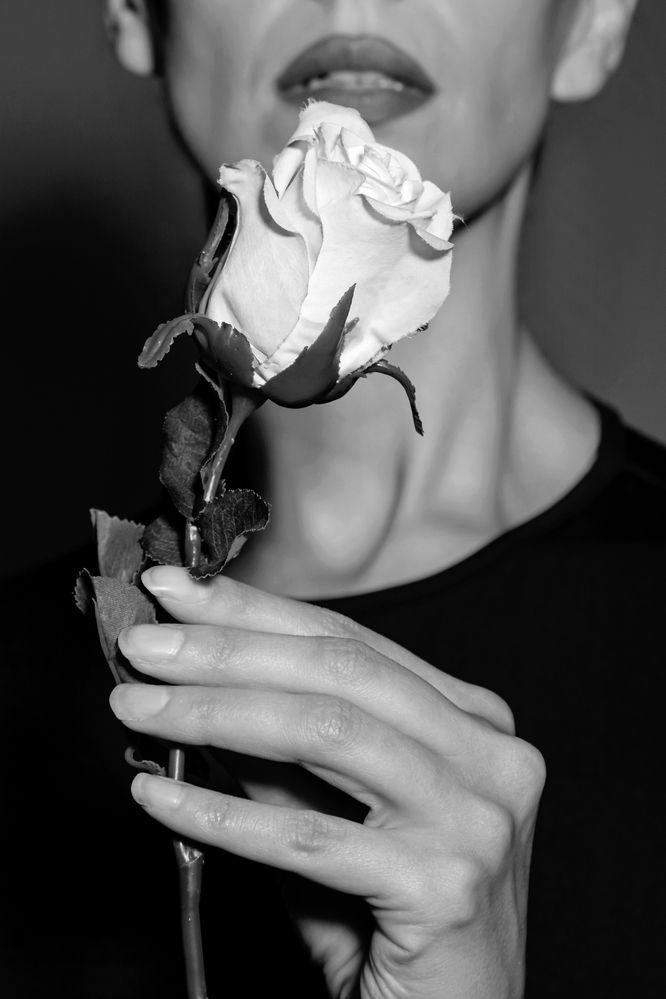 Фотография автора Альбина Кадочникова