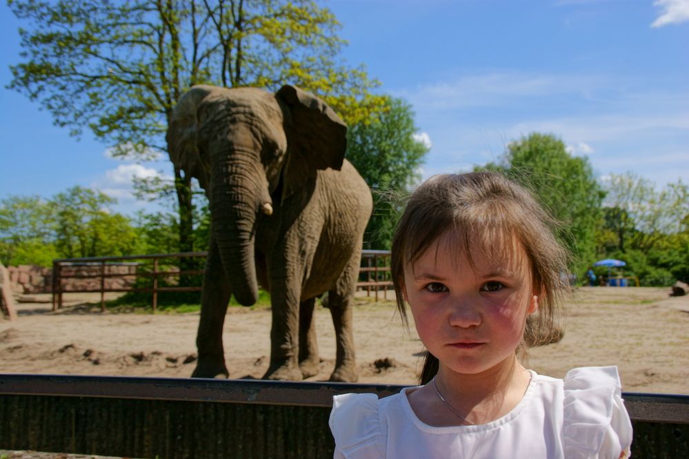 Фотография автора Sergej Roor