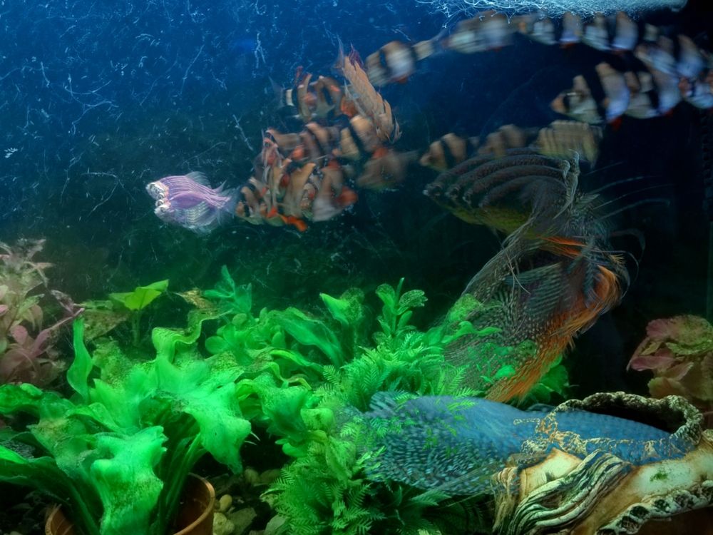 Photograph by Ирина Строкова