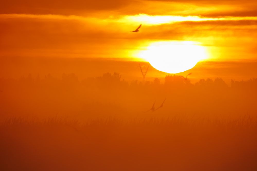Photograph by Владимир Никоноров