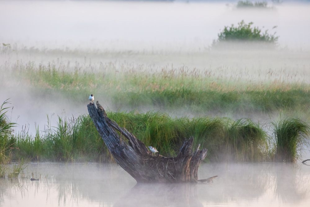 Photograph by Владимир Никоноров