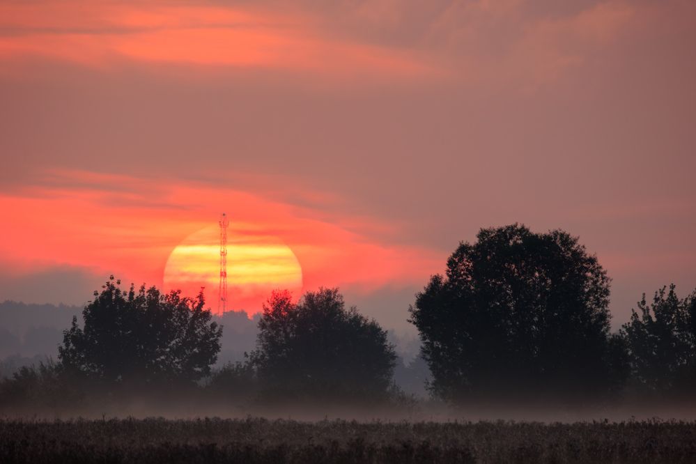 Photograph by Владимир Никоноров