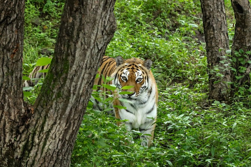 Photograph by Мария Овсечук