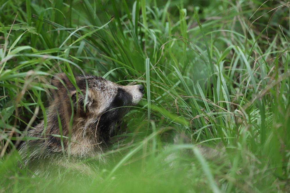 Photograph by Мария Овсечук