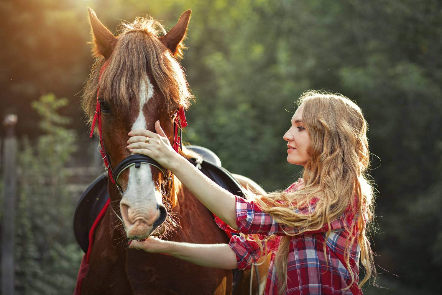 Фотография #12569248