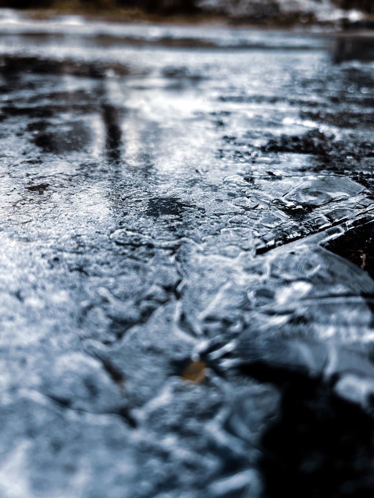 Фотография автора Елизавета Станкевич