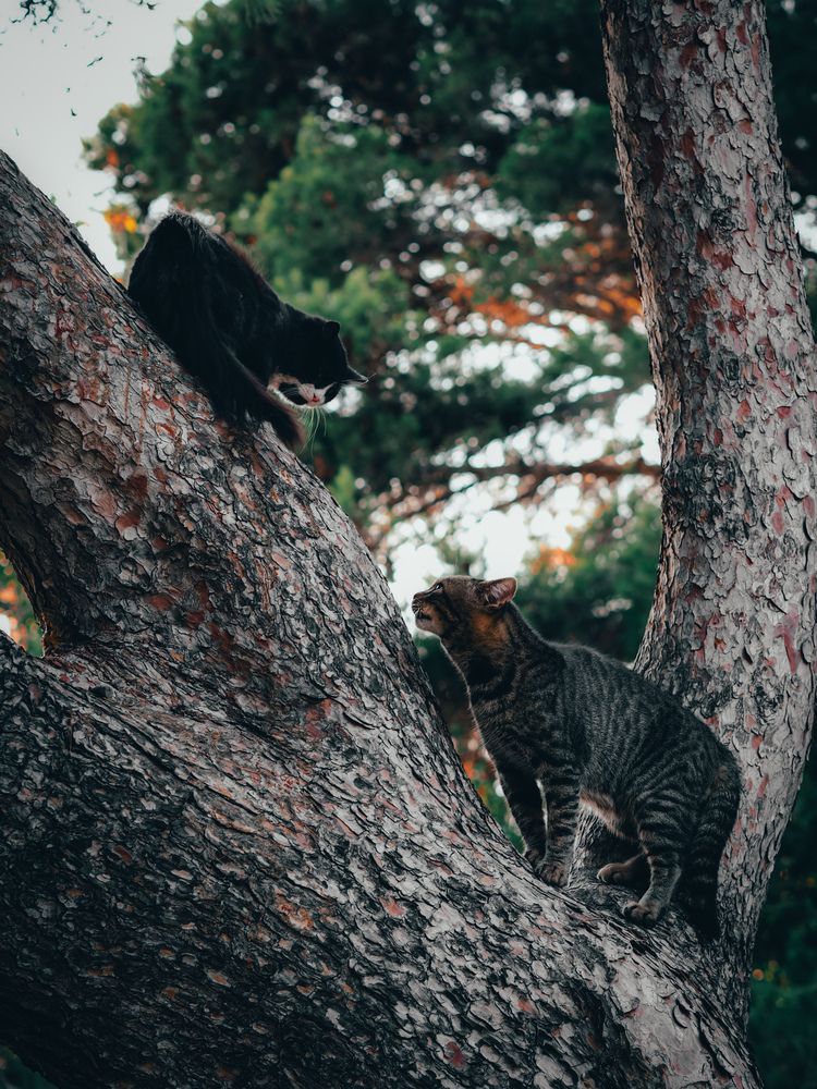 Photograph by Владимир Добрыйвечер