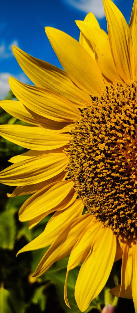 Photograph by Анастасия