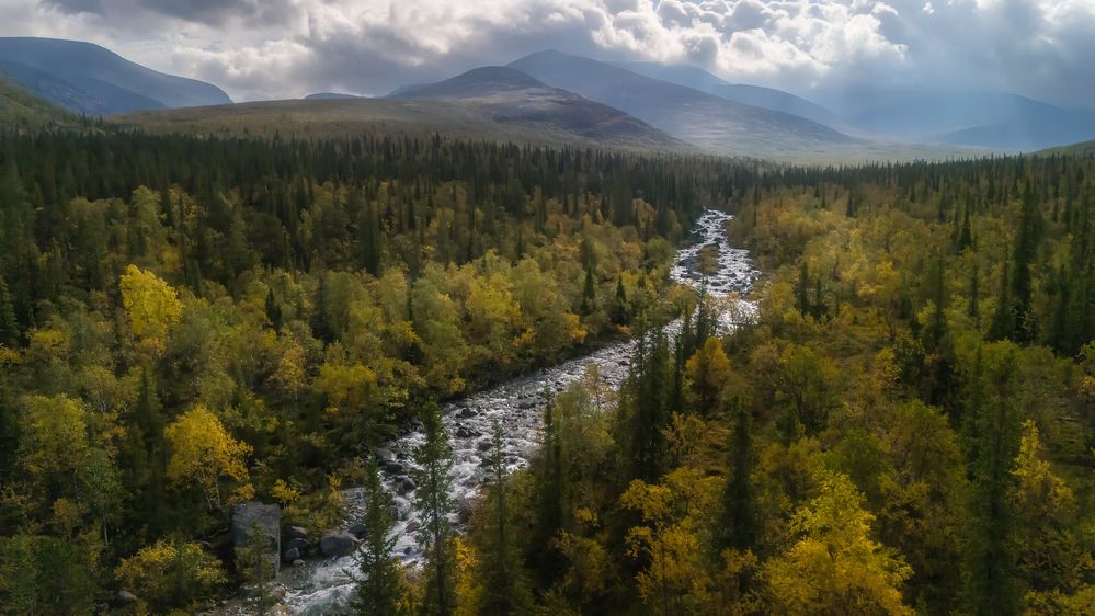 Над горной тайгой