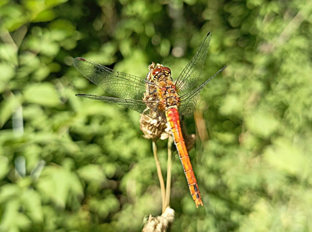 Photograph by Александр Прядко