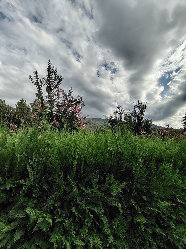Photograph by Марианна Колесникова