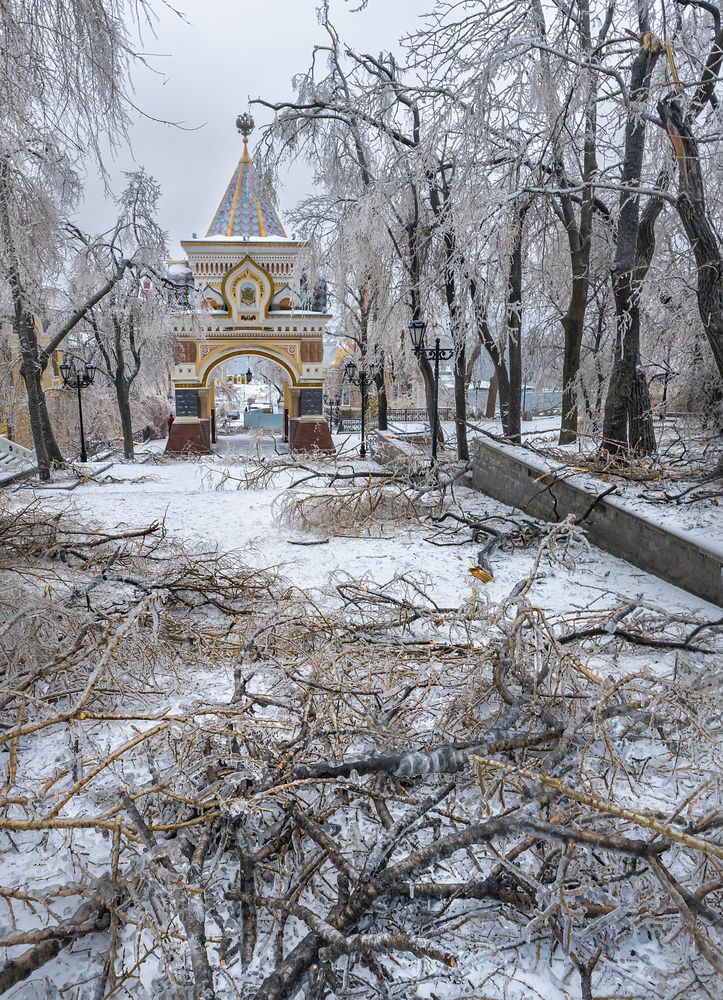 Photograph by Ольга Мусиенко