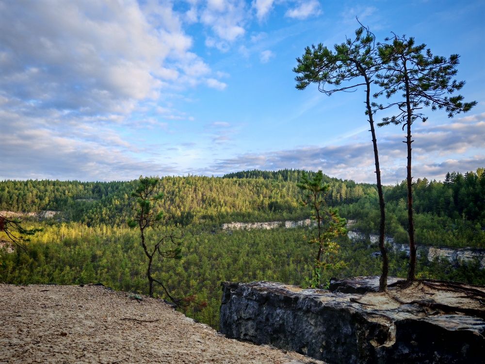 Фотография автора Татьяна Романова