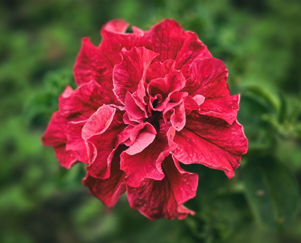 Photograph by Андрей Безгин