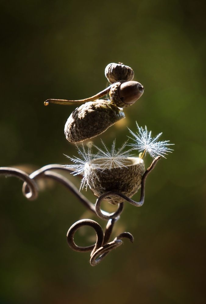 Photograph by Olga Schmidt