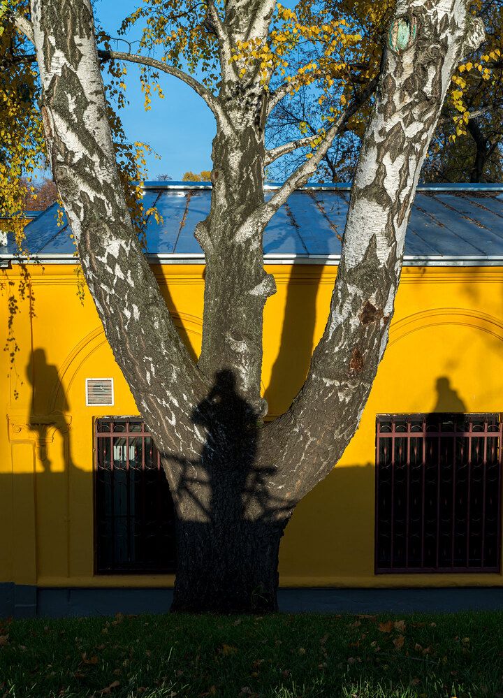 Photograph by Vladimir Arbesman