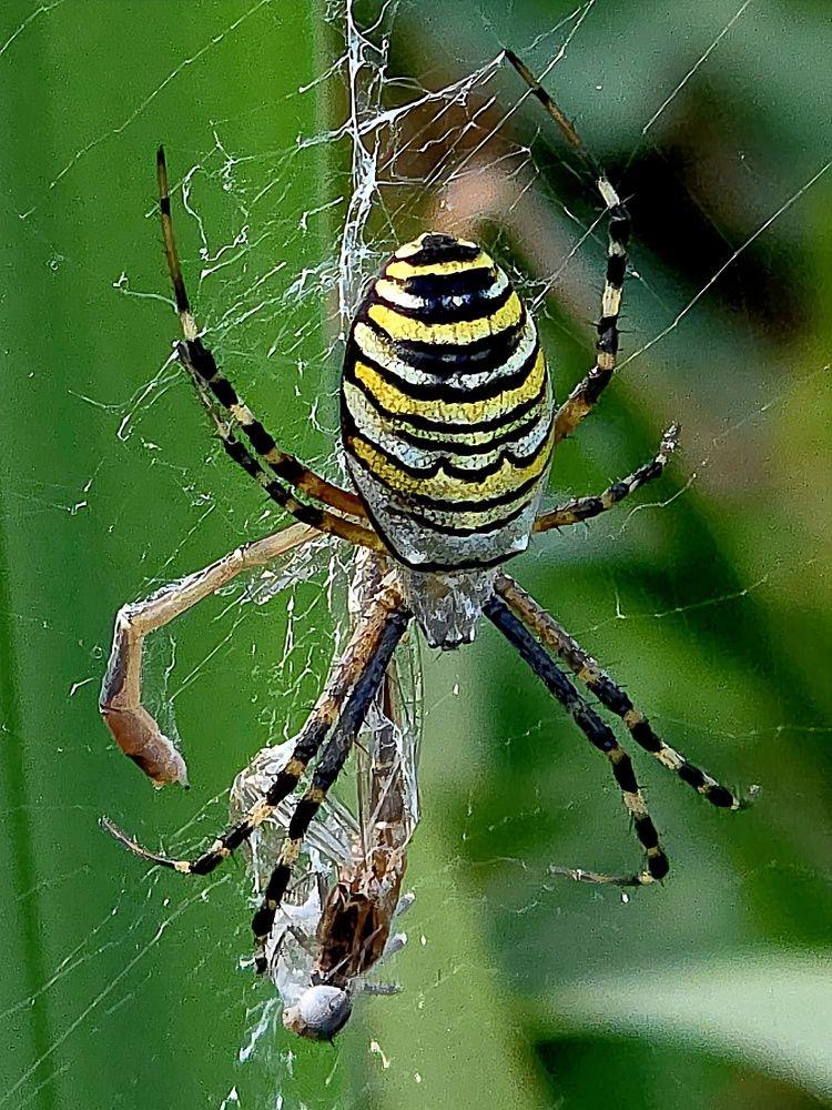 Photograph by Куделенко Оксана