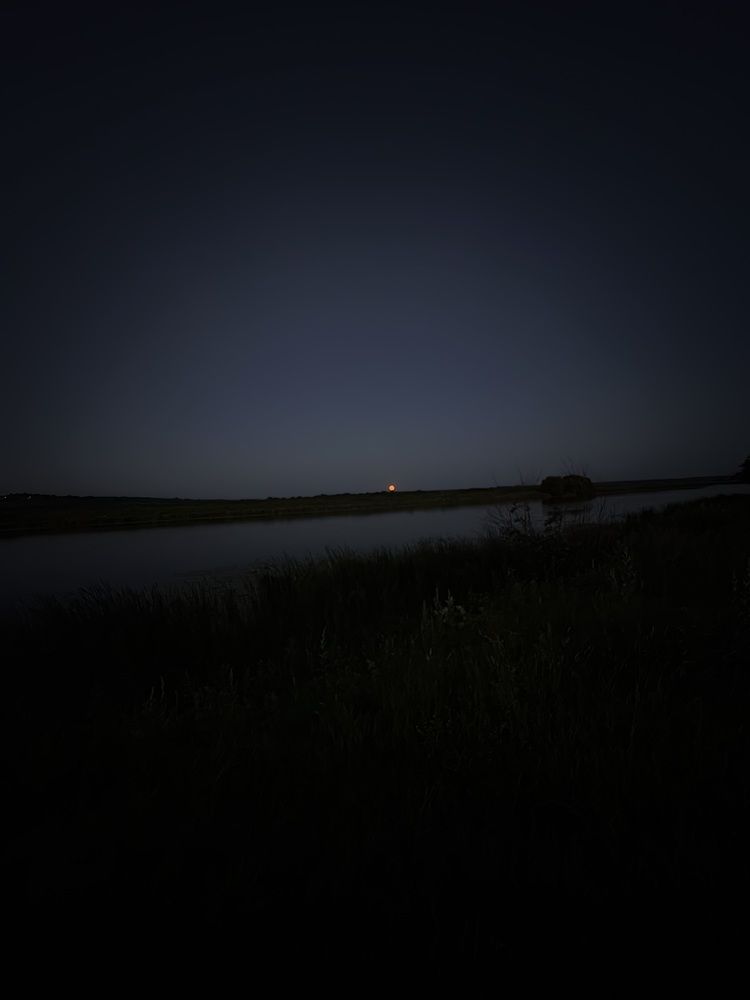 Photograph by Ольга
