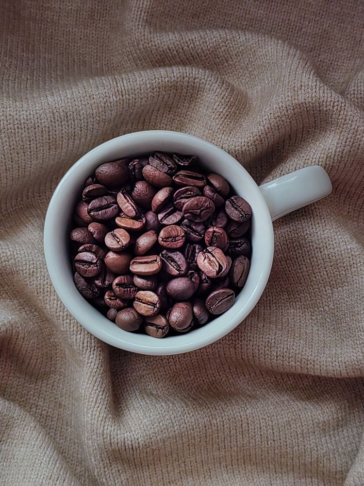 Photograph by Светлана