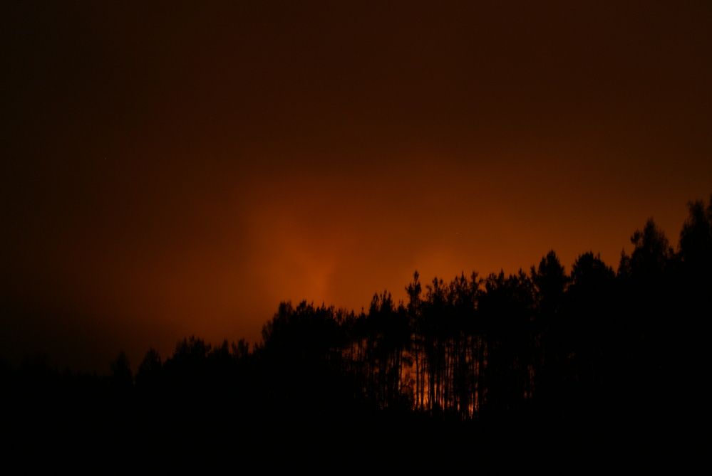 Лесной пожар-2010