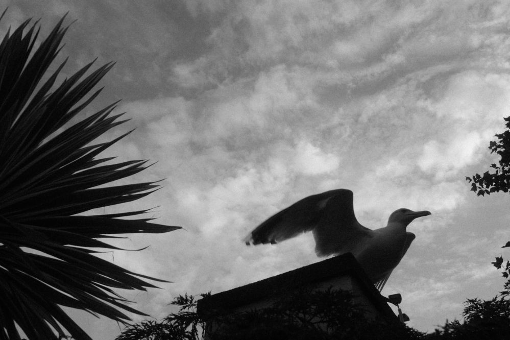 Фотография автора George Peter Alshevskij-Jones