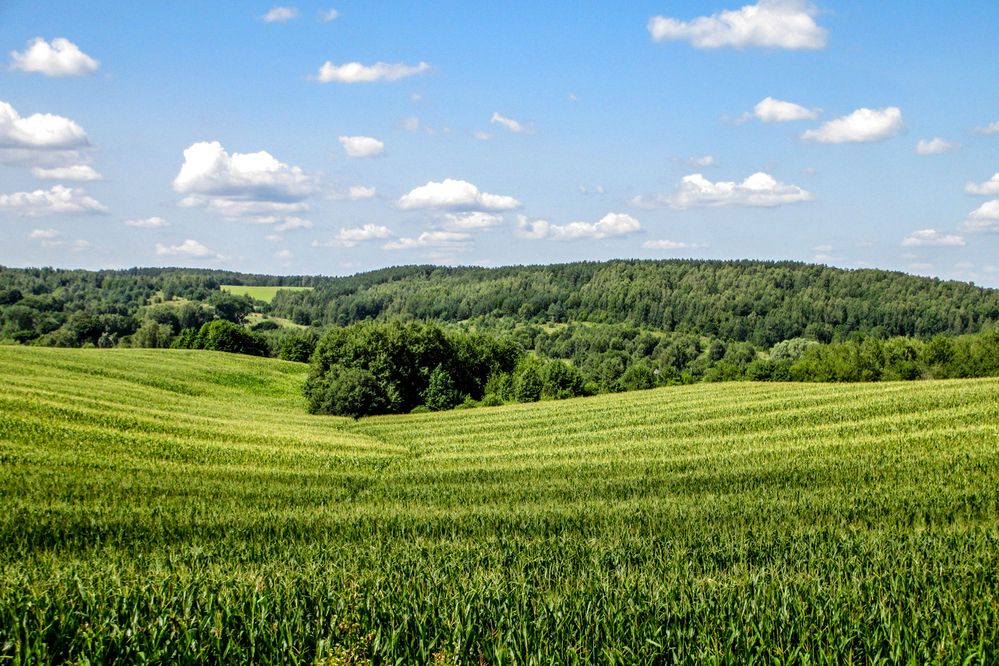 Photograph by Юлия Гузень