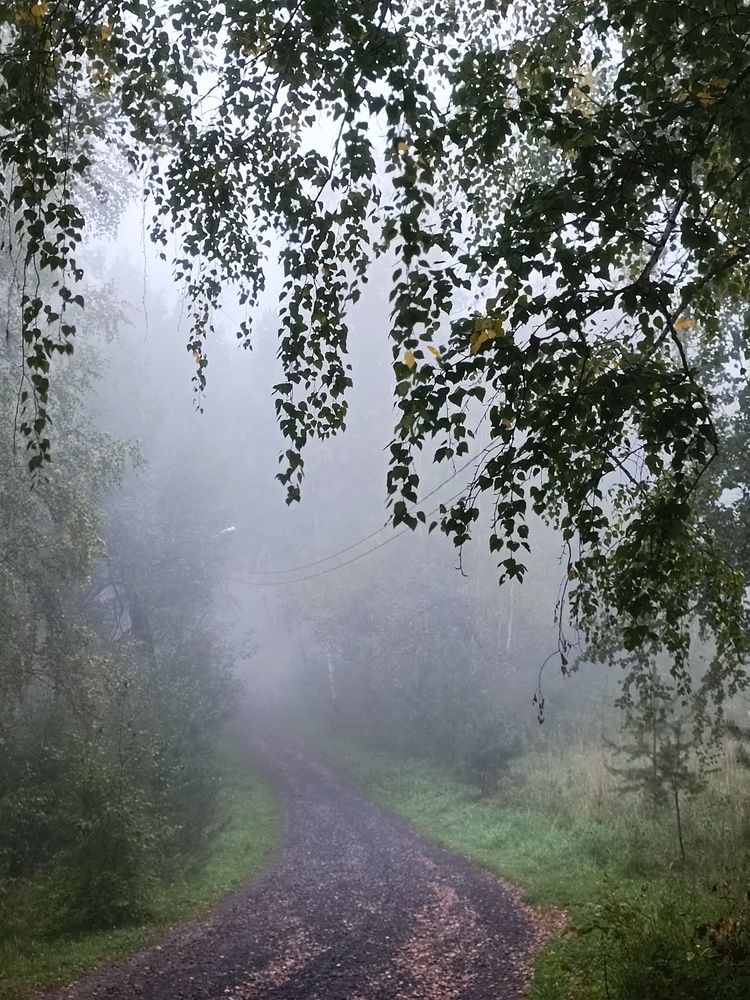 Photograph by Татьяна Cамсонова