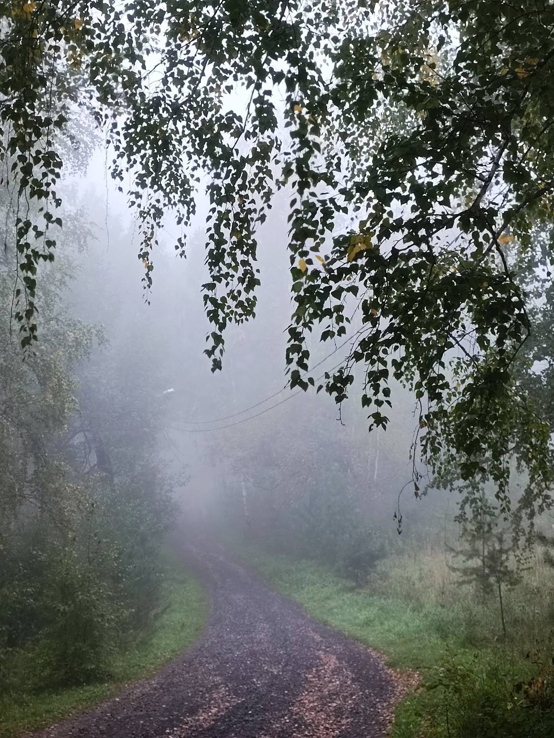 Photo #12570601