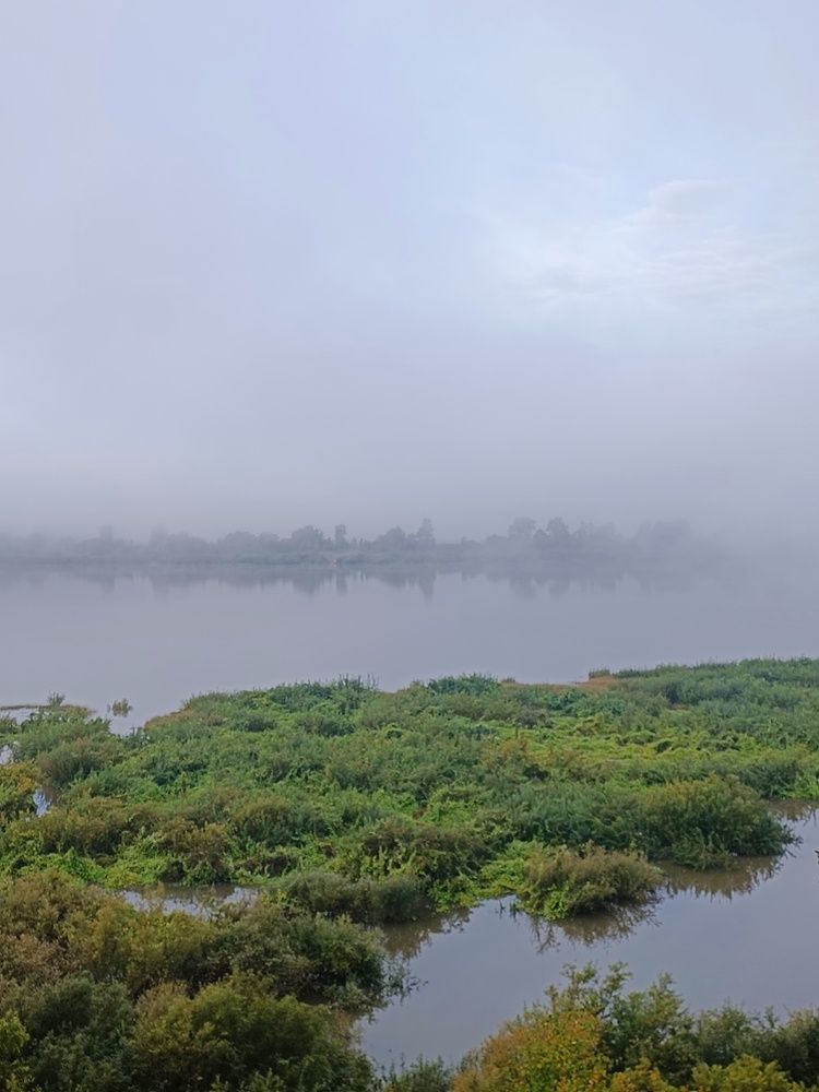 Photograph by Татьяна Cамсонова
