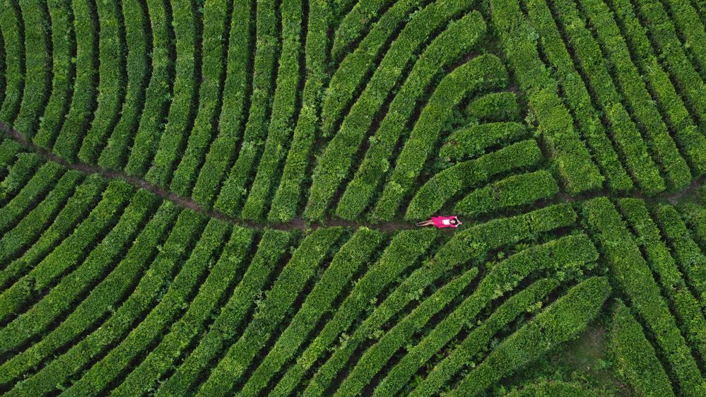 Photograph by Ирина Ортега