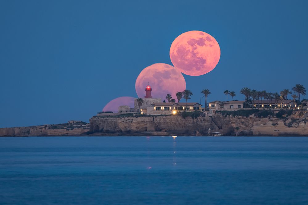 Photograph by Massimo Tamajo