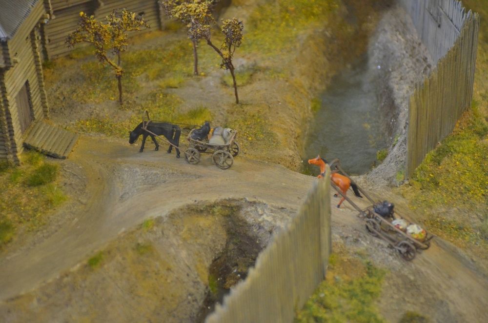 Фотография автора Алексей Власов