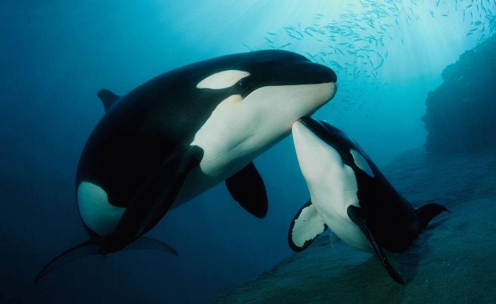 Photograph by Щербакова Юлия