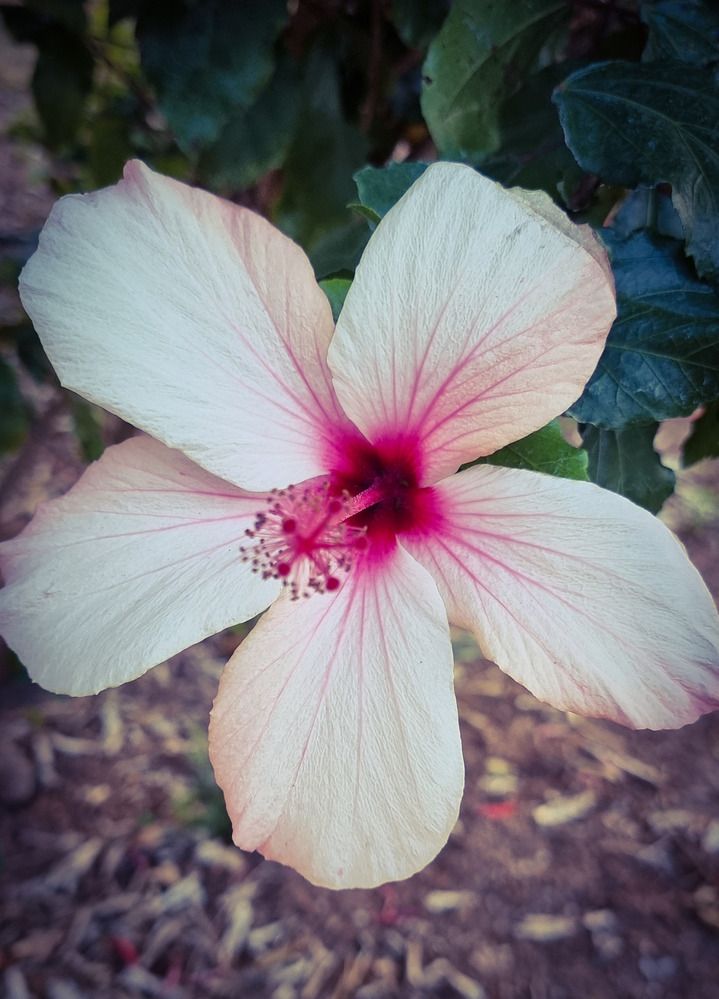 Фотография автора Rita Nel