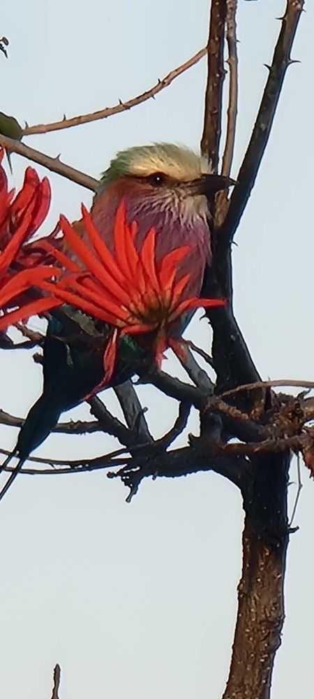 Фотография автора Rita Nel