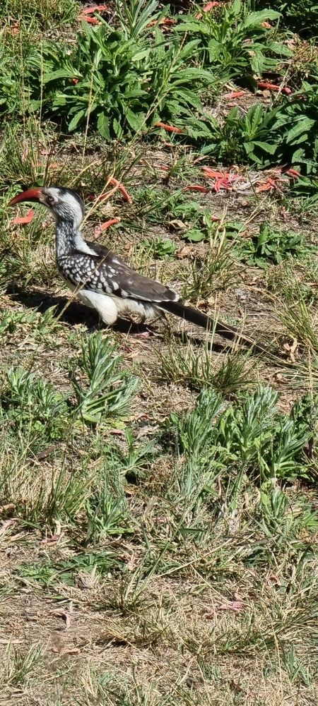 Photograph by Rita Nel