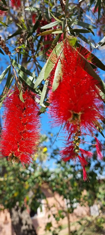 Фотография автора Rita Nel