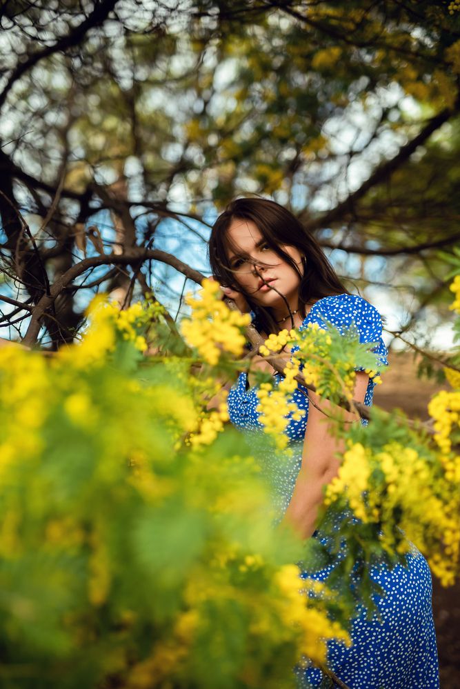 Фотография автора Jekaterina Feldsteine