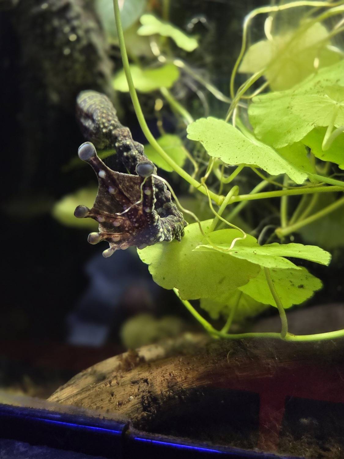 Photo #12571272