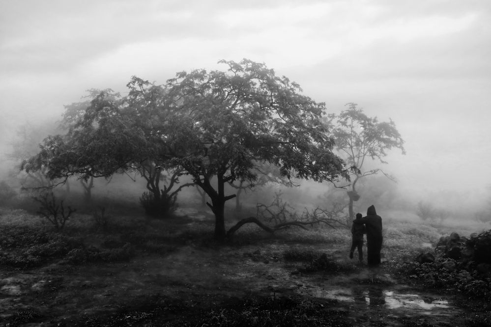 Photograph by Zuhair Al Shammaa