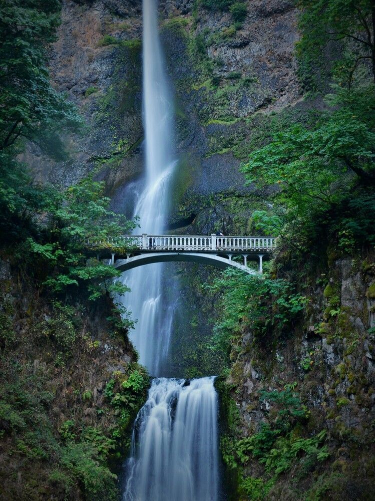 Photograph by Ольга Садохова