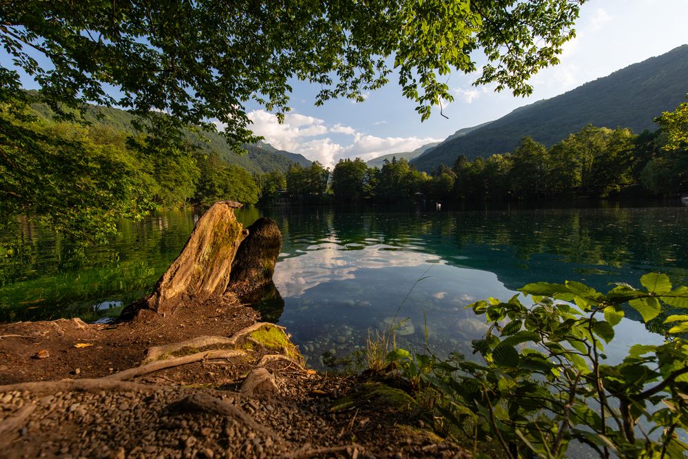 Photograph by Alexey