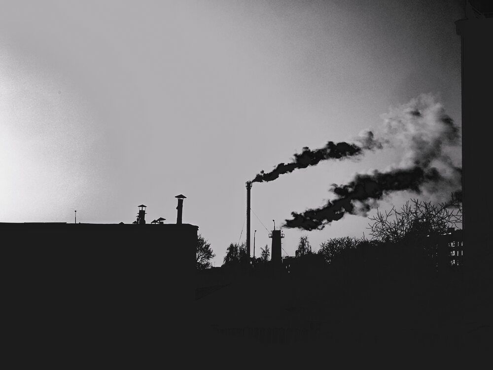 Photograph by Dmitry